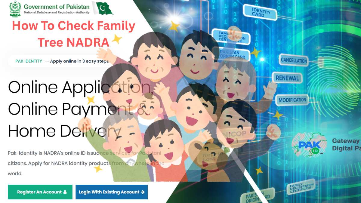 How to Check Family Tree NADRA Free (Official Guide 2026)